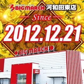 ビックマーチ河和田東店