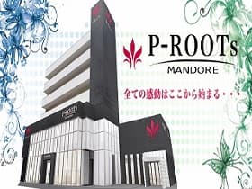 P-ROOTs MANDORE