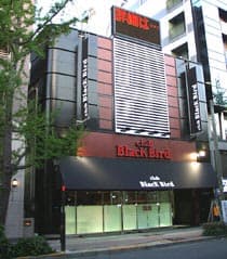 ブラックバード