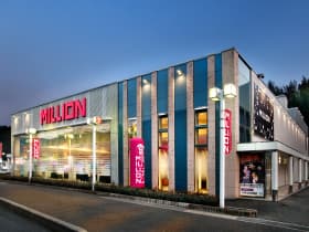 ミリオン池田店