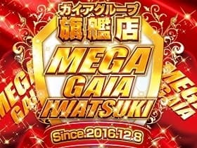 メガガイア岩槻店